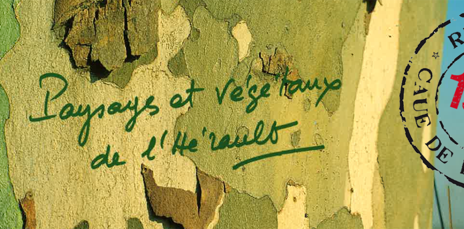 Paysages et végétaux de l'Hérault - chronique 40 ans des CAUE