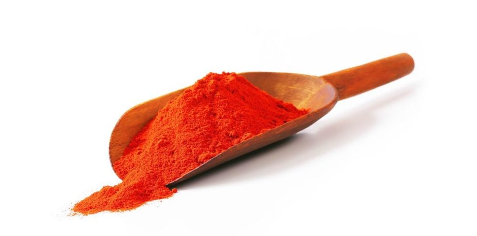 Crédit photo : lacompagniedesocres.fr