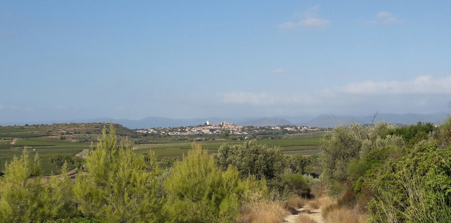 Vue sur Puissalicon depuis le Pech Bellonet.