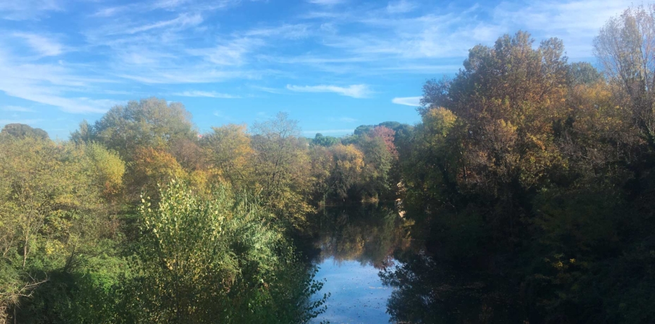 Les bords du Lez. Crédit photo : LC, CAUE 34
