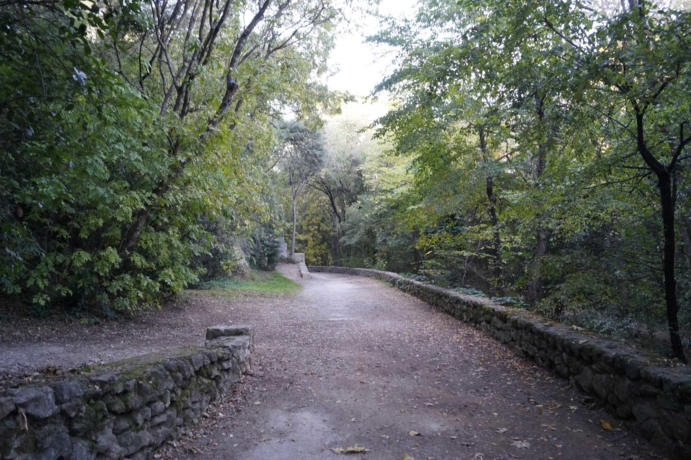 La forêt rivulaire sous le parc Méric. Crédit photo : AH, CAUE 34