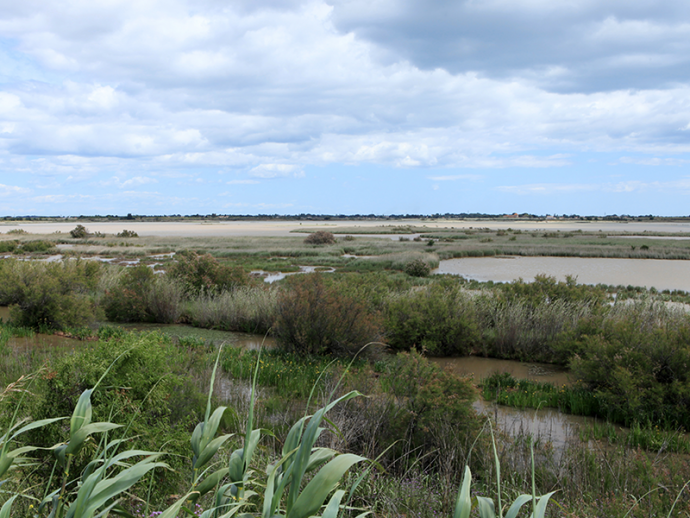 La Réserve vue depuis Saint-Michel - (c) F. Hébraud-CAUE34